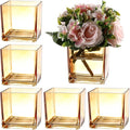 Square Amber Glass Vases Set of 6, Square Vase by MARTAGE