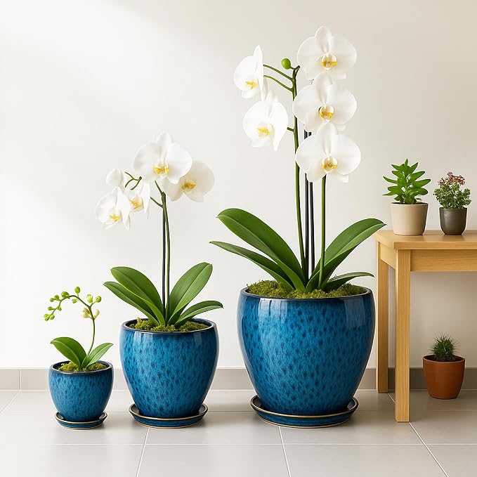 Deep Dream 10 Inch Plant Pot- Ceramic Planter Pot Round Plant Pots - Image 7