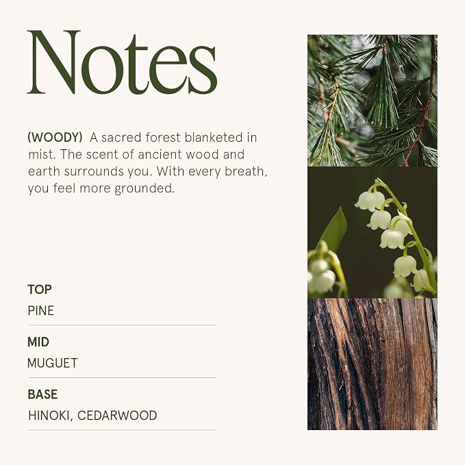 LA JOLIE MUSE Pine & Hinoki Cypress Scented Candles - Image 5