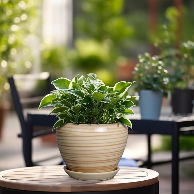 Ceramicfor 6 Inch Plant Pot Ceramic - Image 6