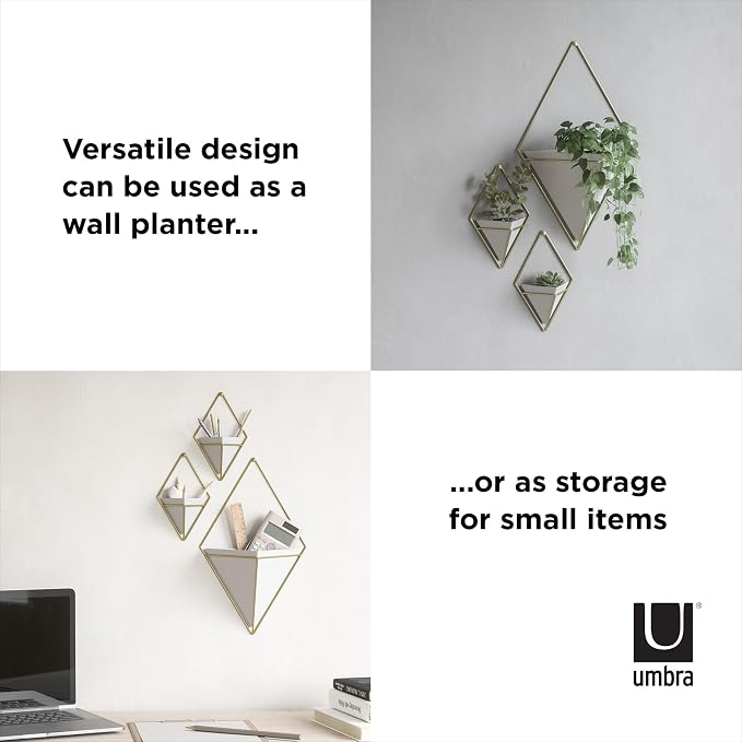 Umbra Trigg Hanging Planter for Small Plants - Image 6