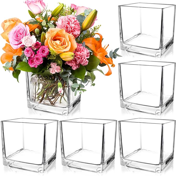 PINIWON 6 Pack Square Glass Vases 5 x 5 x 5 Inch, Wedding Party Home Decor by PINIWON