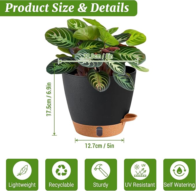 2 Pack 8 Inch Pots for Plants Indoor, Plastic Self Watering Planters | Drainage - Image 3