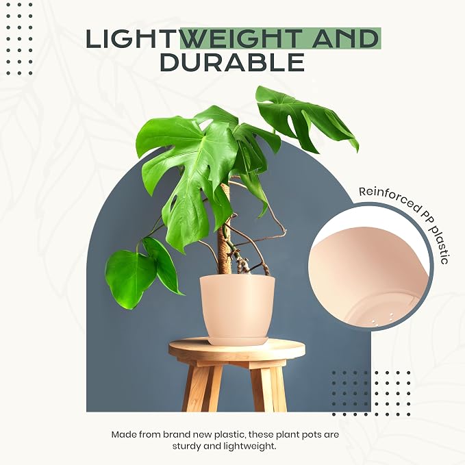 Plant Pots Indoor with Drainage, 10 Pack Multi-Size Planters Set - Image 6