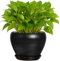 6 Inch Plant Pot by DeepDream