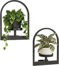 Bamworld Wall Plant Holder Plant Stand Indoor Wall Planters Round | Wall by Bamworld