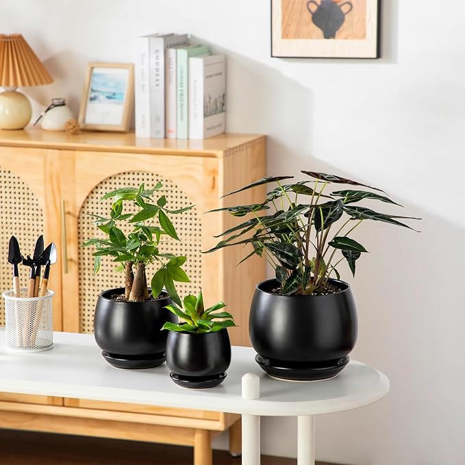 vancasso 3-Pack Ceramic Plant Pots, 3.7/4.8/6.2 Inch Indoor Planters - Image 7