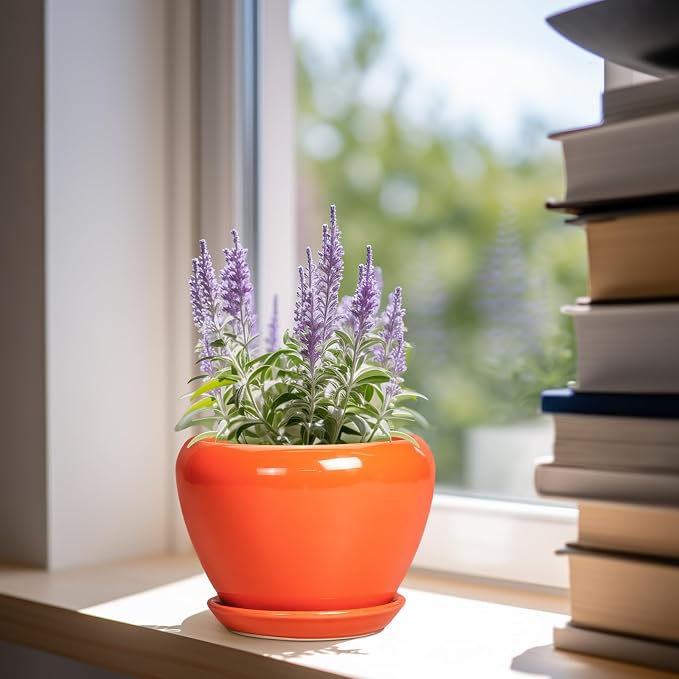 Ceramicfor Ceramic Plant Pot 6 Inch - Image 2
