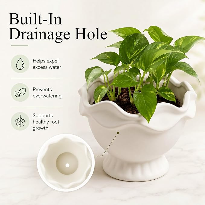 1 Pack White Ceramic Plant Pots Small Rustic, Novel | Decorative Flower Planter - Image 4