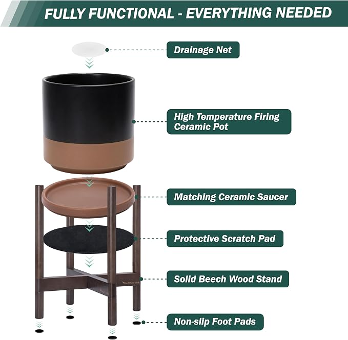 D'vine Dev Ceramic Pot with Walnut Wood Stand, 14 in, 55-B-T-7 | Mid-Century - Image 5