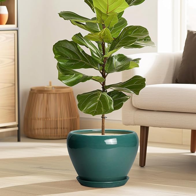 Ceramicfor 8 Inch Plant Pot - Image 2