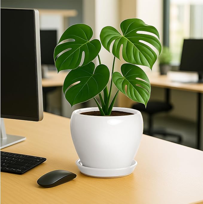 Deep Dream 8 Inch Plant Pot - Image 4