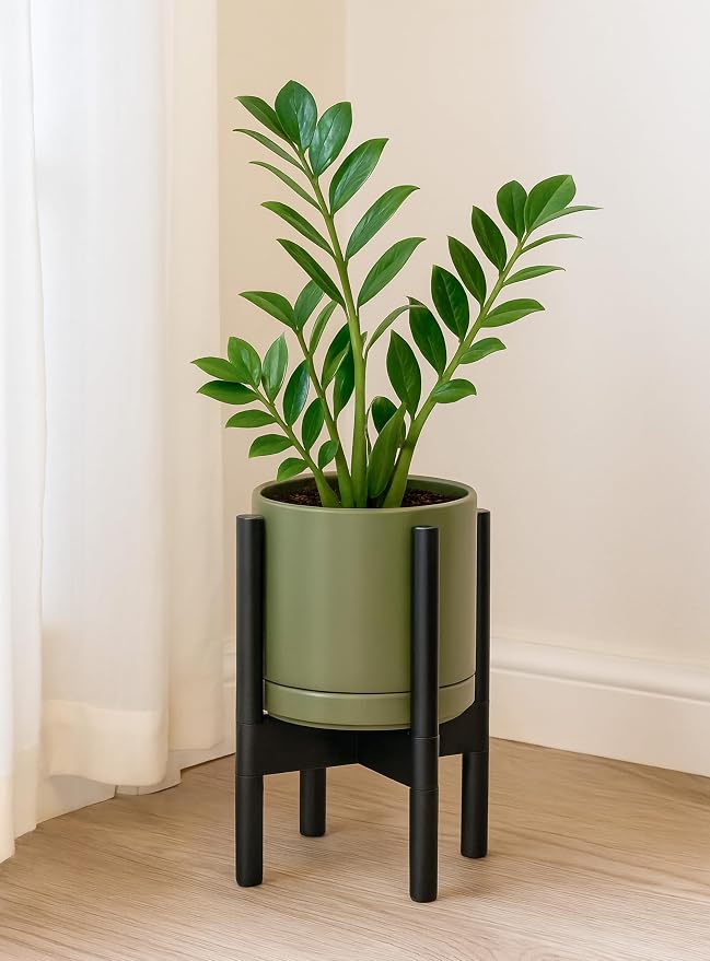 D'vine Dev Ceramic Pot with Ebony Wood Stand, 8 in, 55-B-M-J | Mid-Century - Image 2