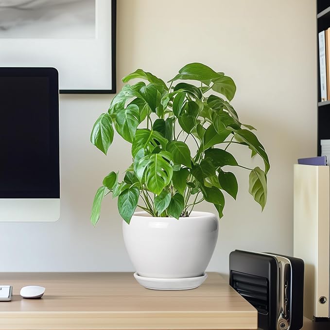 Ceramicfor Ceramic Pot for Plants - Image 7