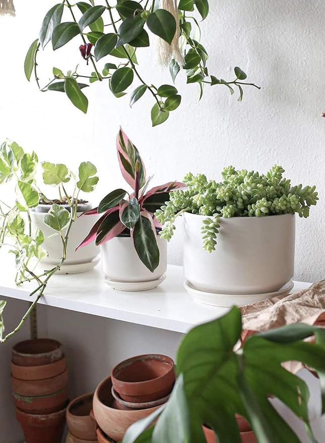 LE TAUCI Ceramic Pots for Plants, 4.3+5.3+6.8 Inch Plant Pots, Indoor Planters - Image 3