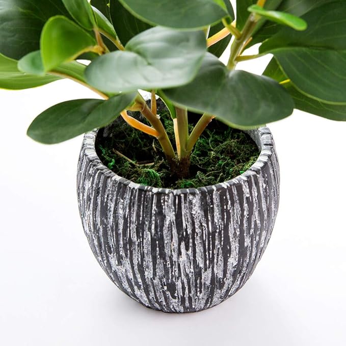 AlphaAcc Fake Faux Fiddle Leaf Fig Cement Planter Housewarming Desk Decor | - Image 2