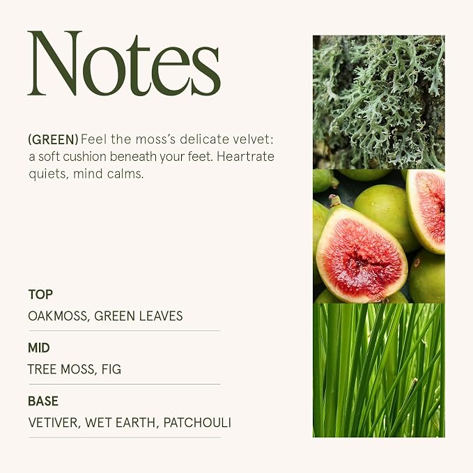 LA JOLIE MUSE Kyoto Vine Moss Scented Candle - Image 4