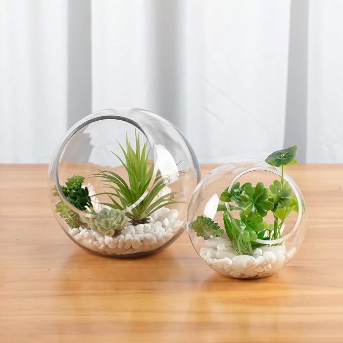 WGV Slant Cut Bowl Glass Vase Bulk, Width 5.5", Height 5.5", Candy Dish - Image 7
