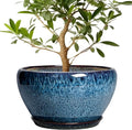 Ceramicfor Ceramic Plant Pots 13 Inch by Ceramicfor