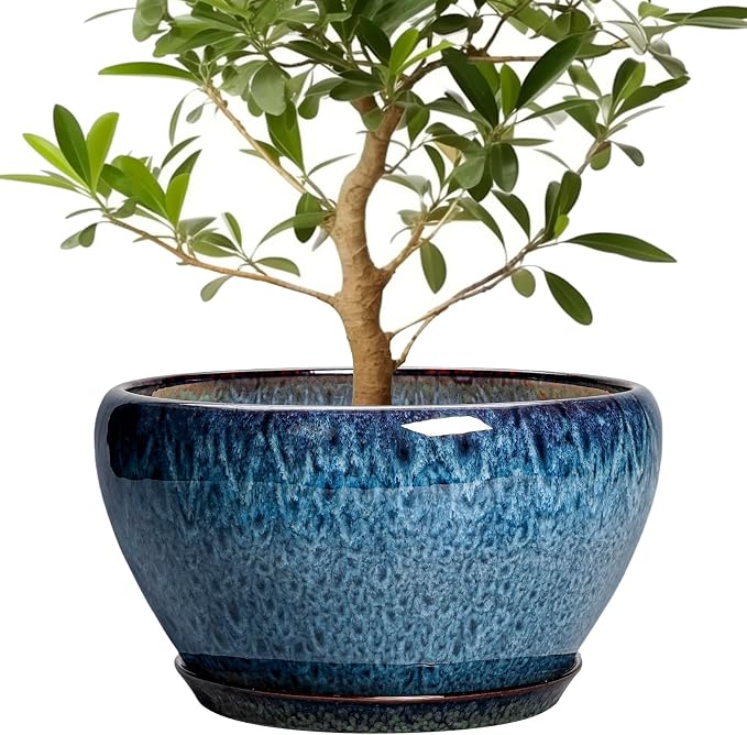 Ceramicfor Ceramic Plant Pots 13 Inch by Ceramicfor