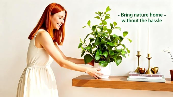 16'' Artificial Ficus Plant in White Textured Ceramic Pot Realistic Faux - Image 3