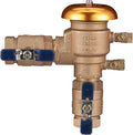 Febco 765FBV 1-1/4 inch Pressure Vacuum Breaker by Febco