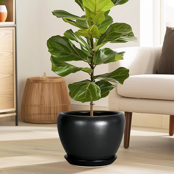 Ceramicfor Ceramic Pot for Plants - Image 2
