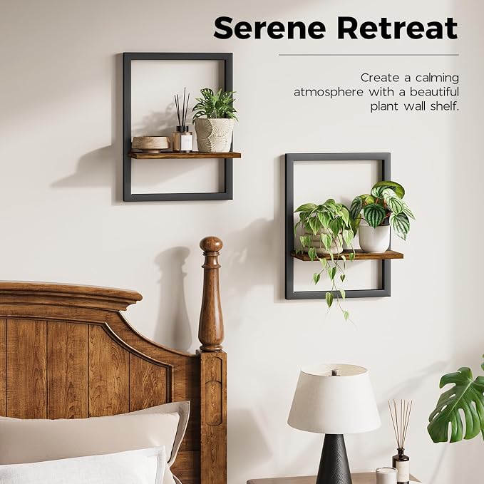 Bamworld Wall Plant Holder Hanging Planters - Image 4