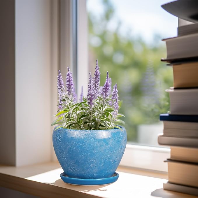 Ceramicfor 6 Inch Plant Pot - Image 6