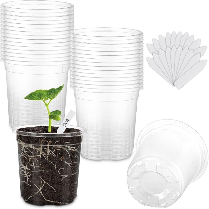 30 Pack Clear Nursery Plant Pots, 4 Inch by WandaQueen