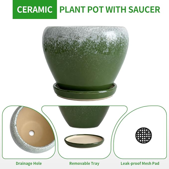 Deep Dream 8 Inch Plant Pots- Ceramic Pots - Image 6