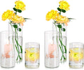 Glass Cylinder Vases Set of 6, Hewory Tall Clear Vase by Hewory