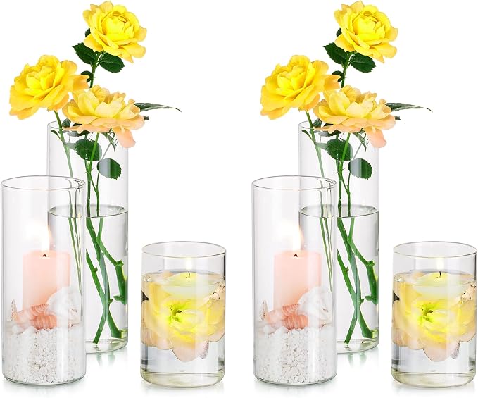 Glass Cylinder Vases Set of 6, Hewory Tall Clear Vase by Hewory
