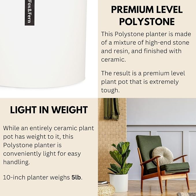 Fox & Fern Large Planter for Indoor or Outdoor, Matte White, 10 Inch | UV & - Image 4