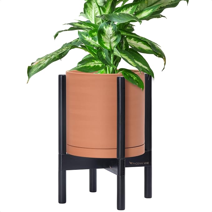 D'vine Dev Terracotta Pot with Ebony Wood Stand, 10 in, 55-B-L-5 | Mid-Century by DvineDevPlanterPotsandStand