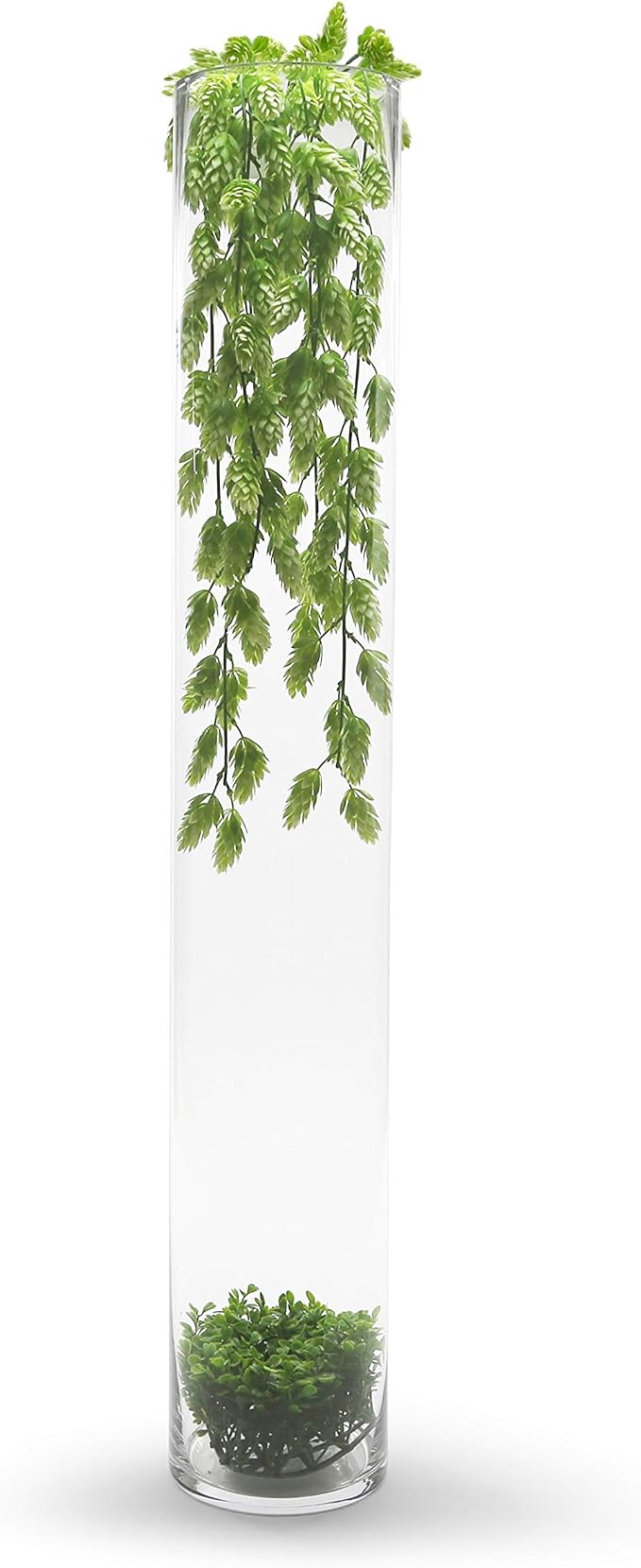 WGVI Quality Thick Weighted Tall Clear Cylinder Glass Vases, Flower Arrangement - Image 5