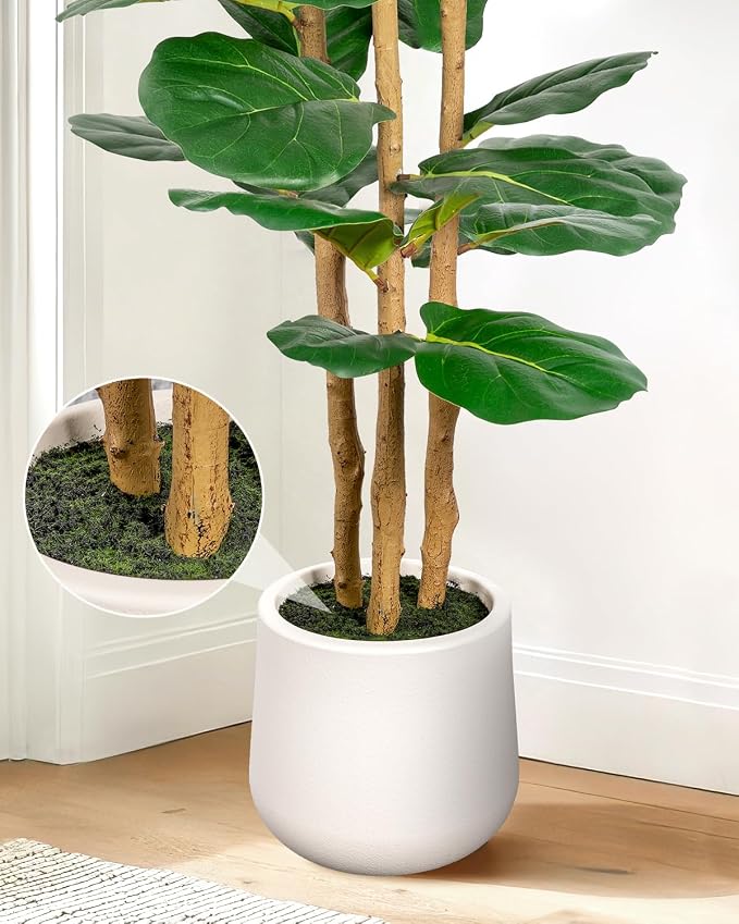 Artificial Fiddle Leaf Fig Tree in Modern White Planter, 5ft | Large Fake Tree - Image 3