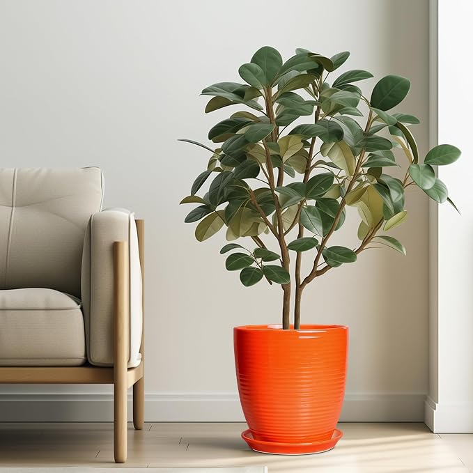 10 Inch Plant Pot, Ceramic Planters - Image 2