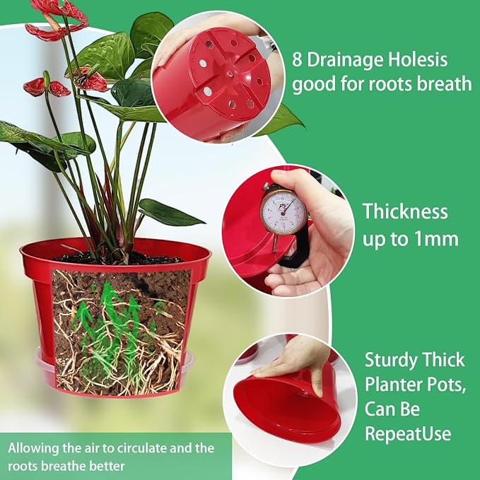 RooTrimmer 8 inch Plastic Flower Pots - Image 5