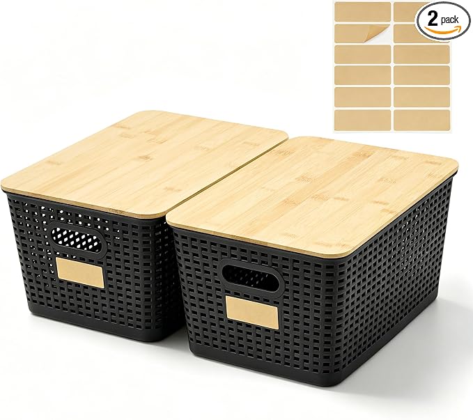 2 Pack Tall Plastic Storage Bins by Bagnizer