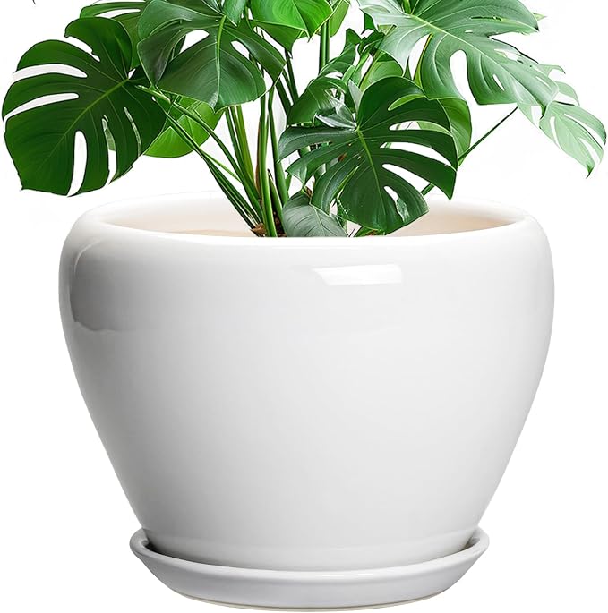 Ceramicfor Ceramic Pot for Plants by Ceramicfor