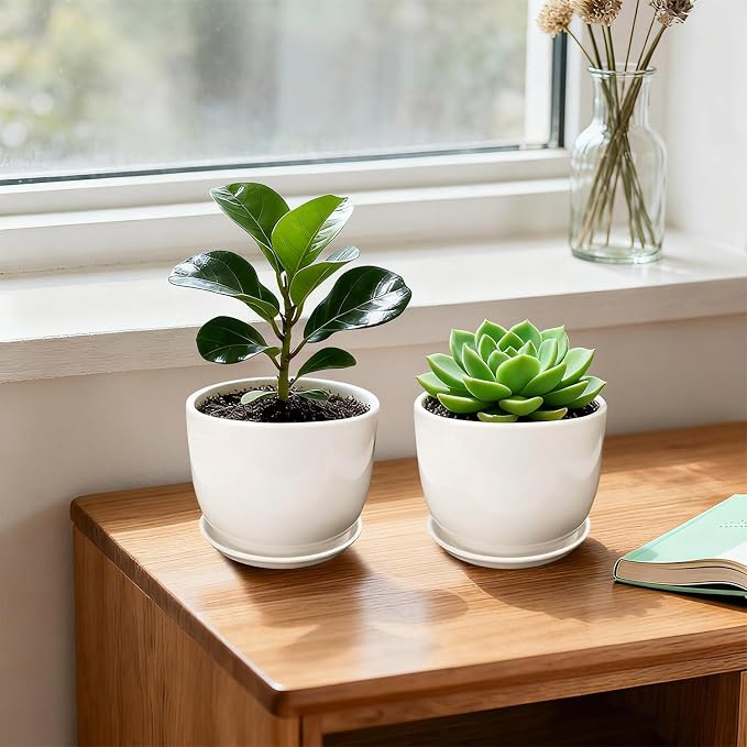 Ceramic Plant Pots, Ceramic Planter - Image 5