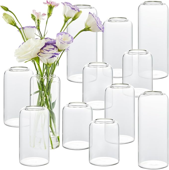 Bud Vases in Bulk Set of 12, Glass Small Vases by GNILLKO
