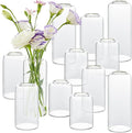 Bud Vases in Bulk Set of 12, Glass Small Vases by GNILLKO