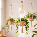 Shappy 3 Pack Boho Macrame Plant Hanger by Shappy