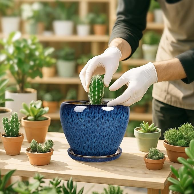 Deep Dream 6 Inch Plant Pots- Ceramic Planter Pot - Image 5