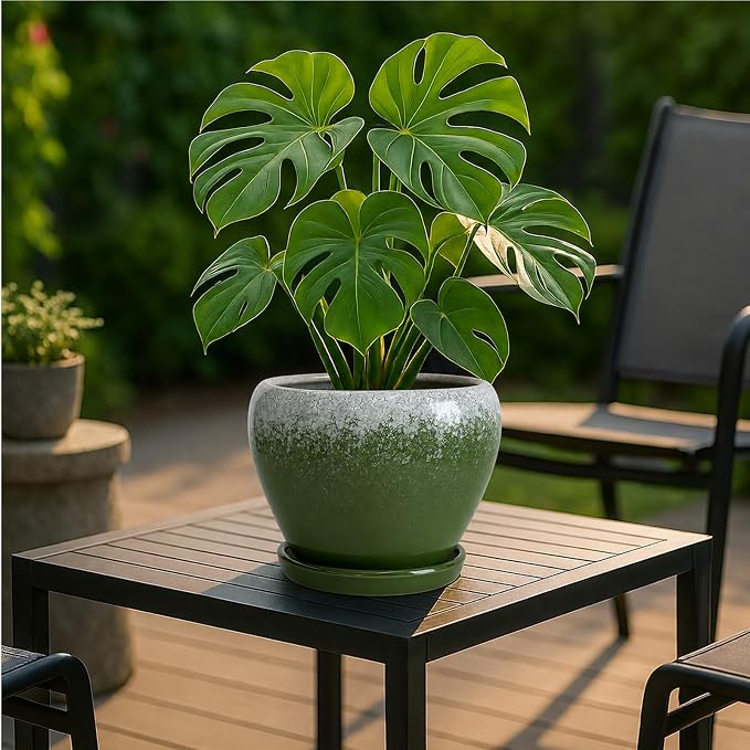 Deep Dream 8 Inch Plant Pots- Ceramic Pots - Image 2