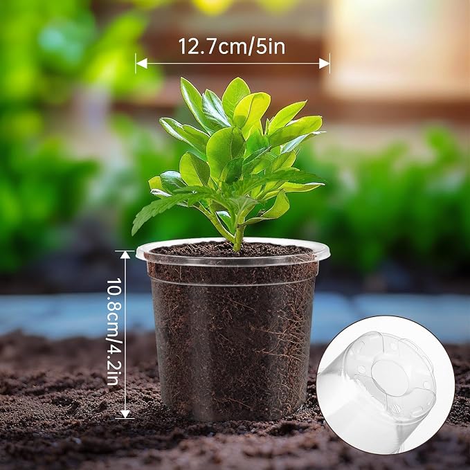 30 Pack Clear Nursery Plant Pots, 5 Inch - Image 4