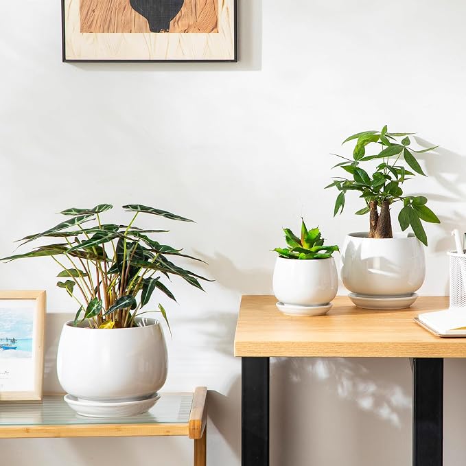 vancasso 3-Pack Ceramic Plant Pots, 3.7/4.8/6.2 Inch Indoor Planters - Image 7