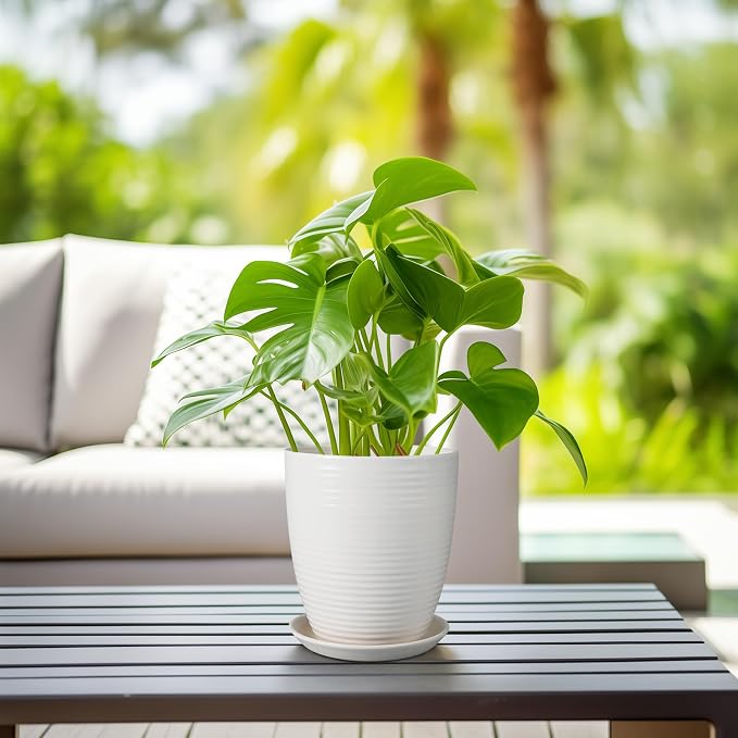 8 Inch Ceramic Planter Pot Round Plant Pot - Image 6